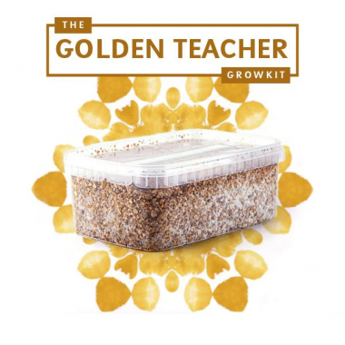 golden teacher growkit 2100