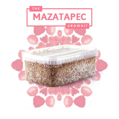 mazatapec growkit 2100 mazatapec growkit 2100