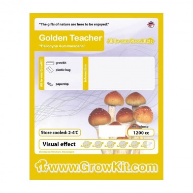 golden teacher grow kit golden teacher grow kit