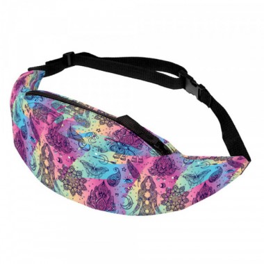 Kolorowa nerka czakry