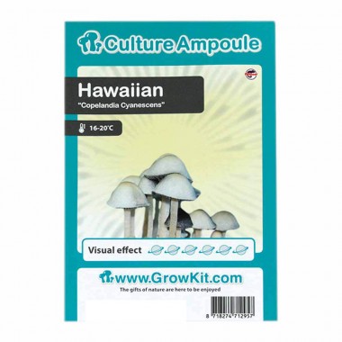 Zarodniki hawaiian, ampułka hawaiian Zarodniki hawaiian, ampułka hawaiian
