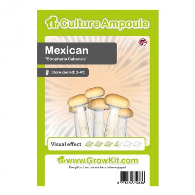 zarodniki mexican zarodniki mexican