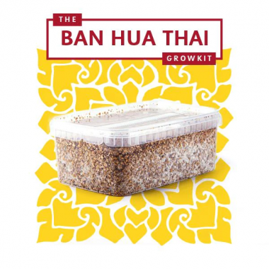 Thai GrowKit 1200ml Thai GrowKit 1200ml