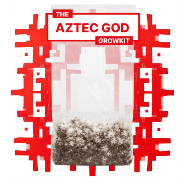 aztec god full auto growkit aztec god full auto growkit