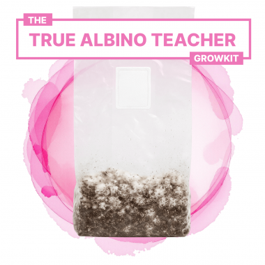 true albino teacher growkit true albino teacher growkit