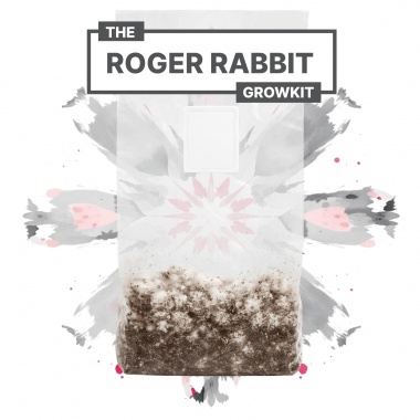 Roger Rabbit 3300 ml Growkit Full Auto Roger Rabbit 3300 ml Growkit Full Auto