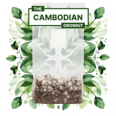 cambodian full auto growkit cambodian full auto growkit