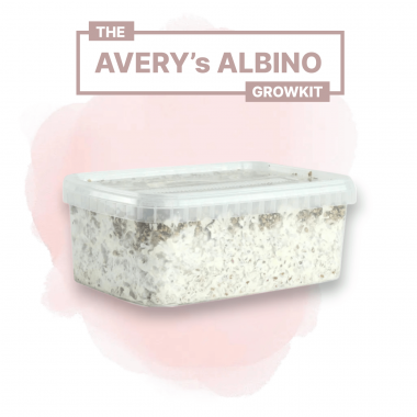 Avery's albino growkit Avery's albino growkit