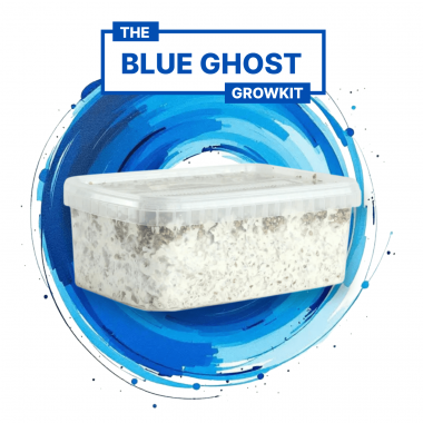 blue ghost growkit