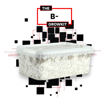B - growkit