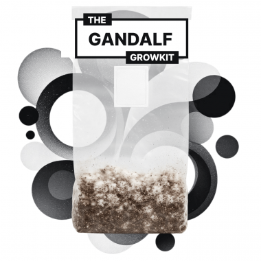 Gandalf 3300 ml Growkit Full Auto