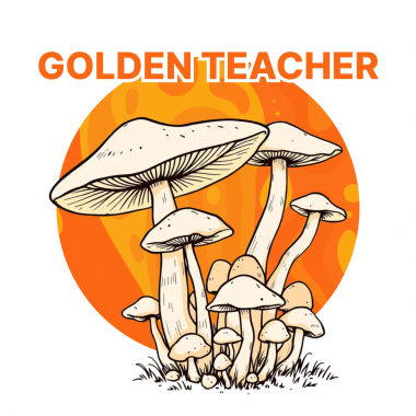 golden teacher growkit golden teacher growkit