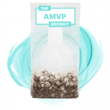 amvp growkit full auto amvp growkit full auto