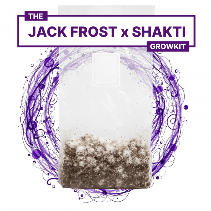 jack frost x shakti full auto growkit jack frost x shakti full auto growkit