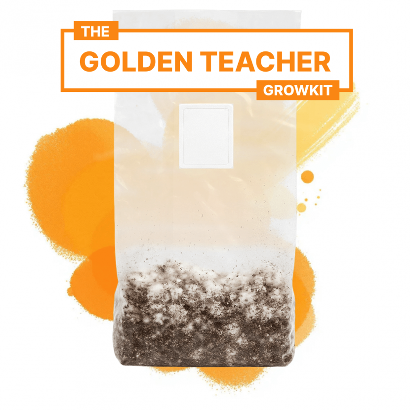 Golden Teacher 3300 ml Growkit Full Auto Golden Teacher 3300 ml Growkit Full Auto