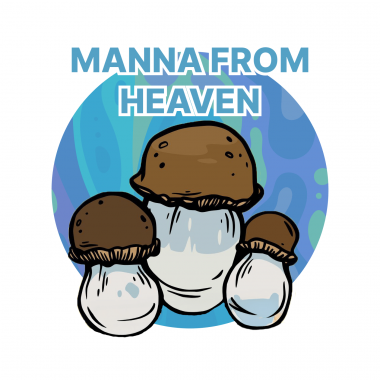 manna from heaven PE growkit full auto