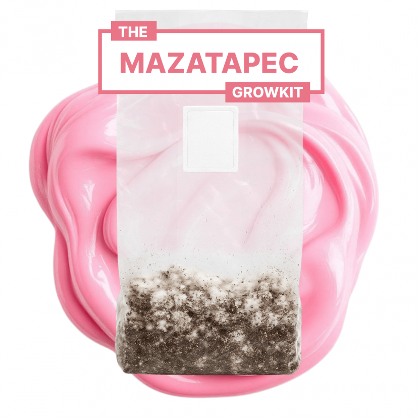 mazatapec growkit