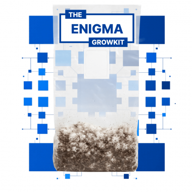 enigma growkit full auto
