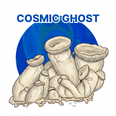 cosmic ghost growkit 3300 ml psilocibe